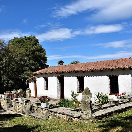 B&B I Menhir Sorgono Zewnętrze zdjęcie