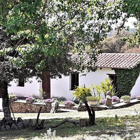B&B I Menhir Sorgono Zewnętrze zdjęcie