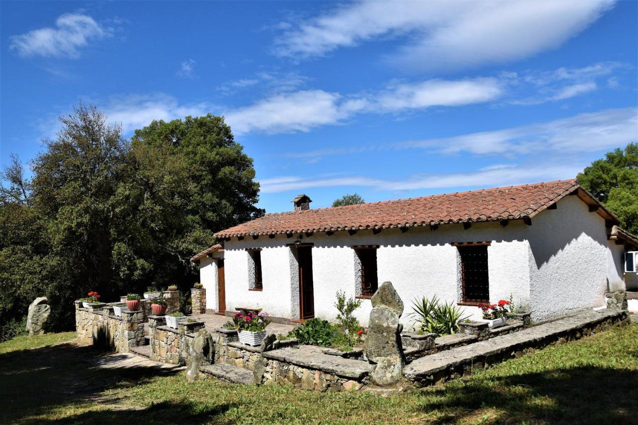 B&B I Menhir Sorgono Zewnętrze zdjęcie
