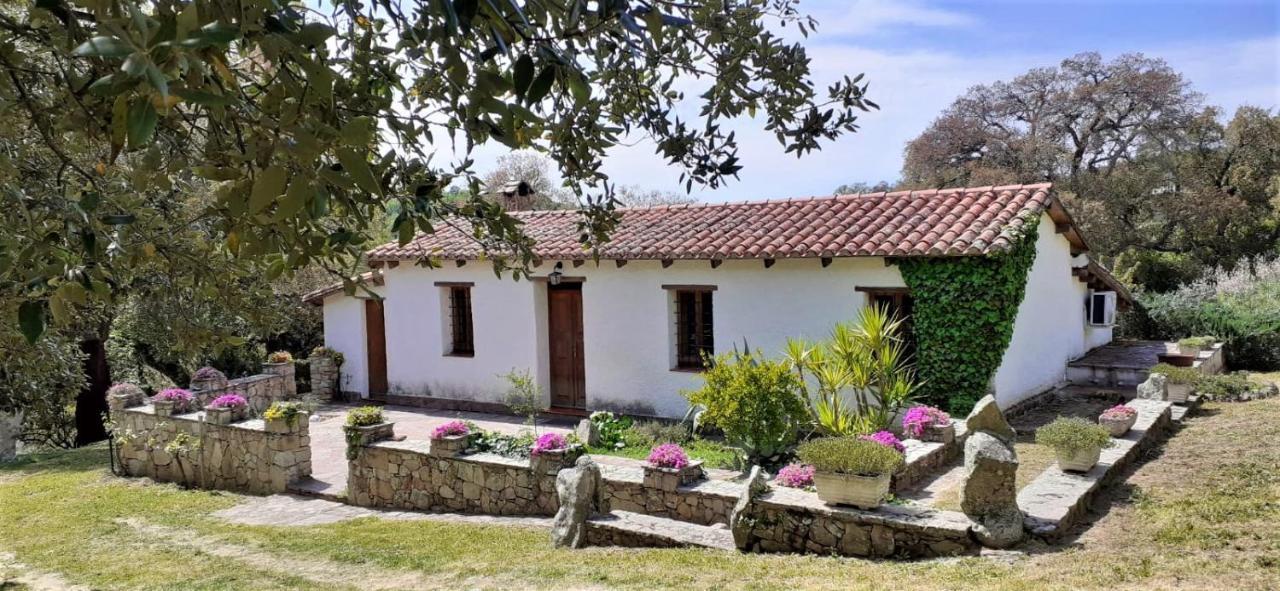 B&B I Menhir Sorgono Zewnętrze zdjęcie