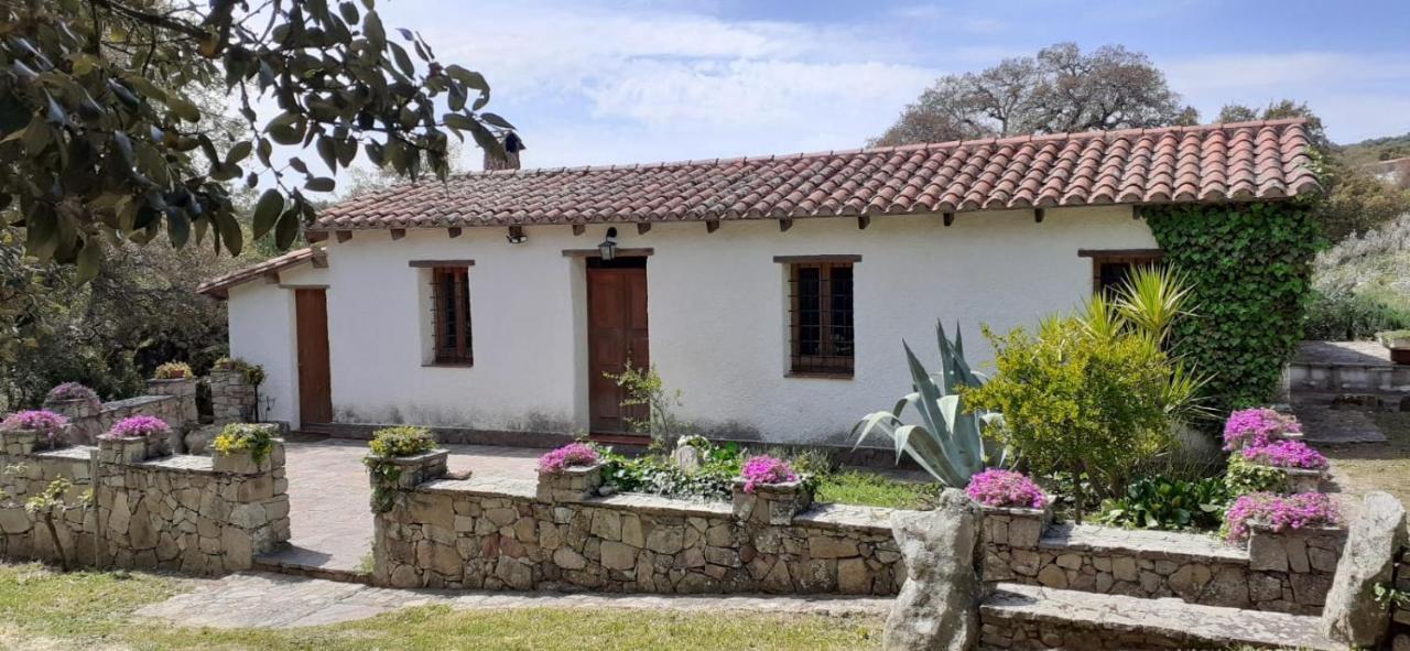 B&B I Menhir Sorgono Zewnętrze zdjęcie