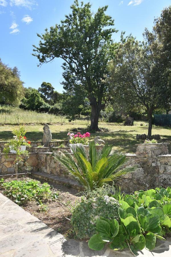 B&B I Menhir Sorgono Zewnętrze zdjęcie