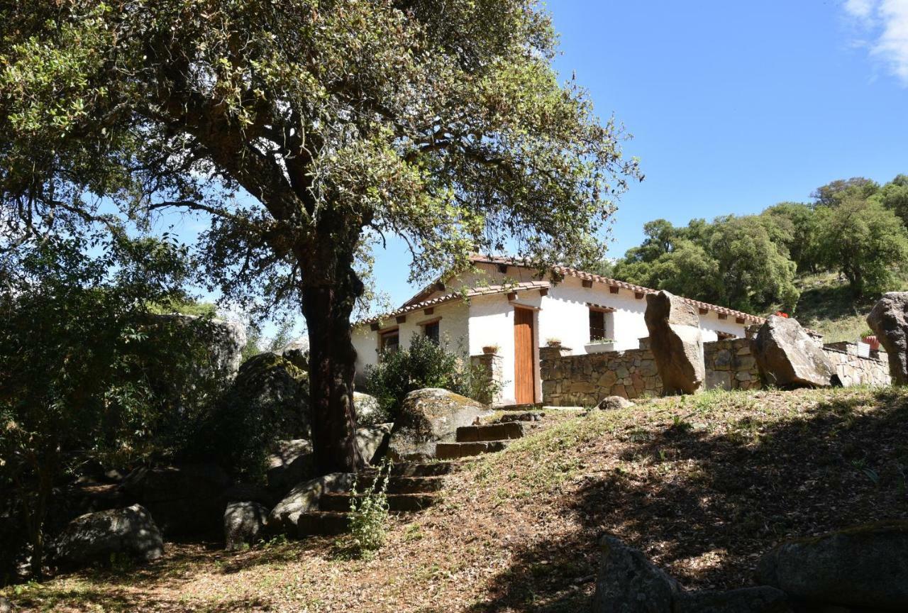 B&B I Menhir Sorgono Zewnętrze zdjęcie