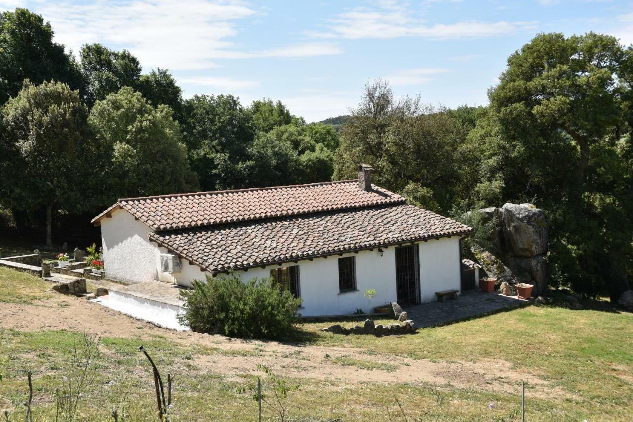 B&B I Menhir Sorgono Zewnętrze zdjęcie
