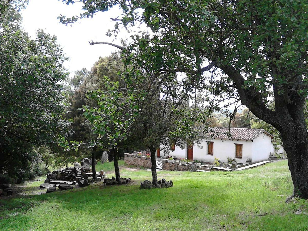 B&B I Menhir Sorgono Zewnętrze zdjęcie
