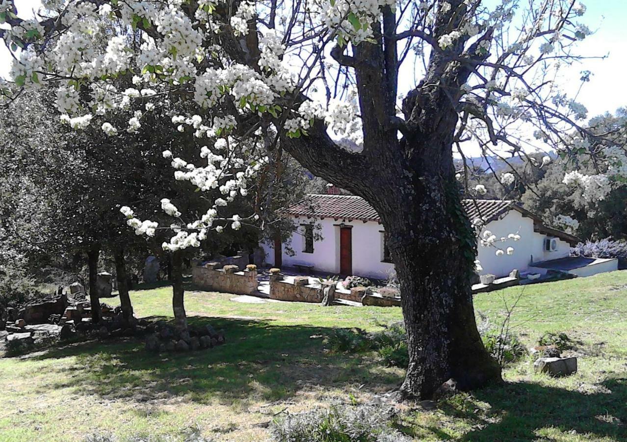 B&B I Menhir Sorgono Zewnętrze zdjęcie