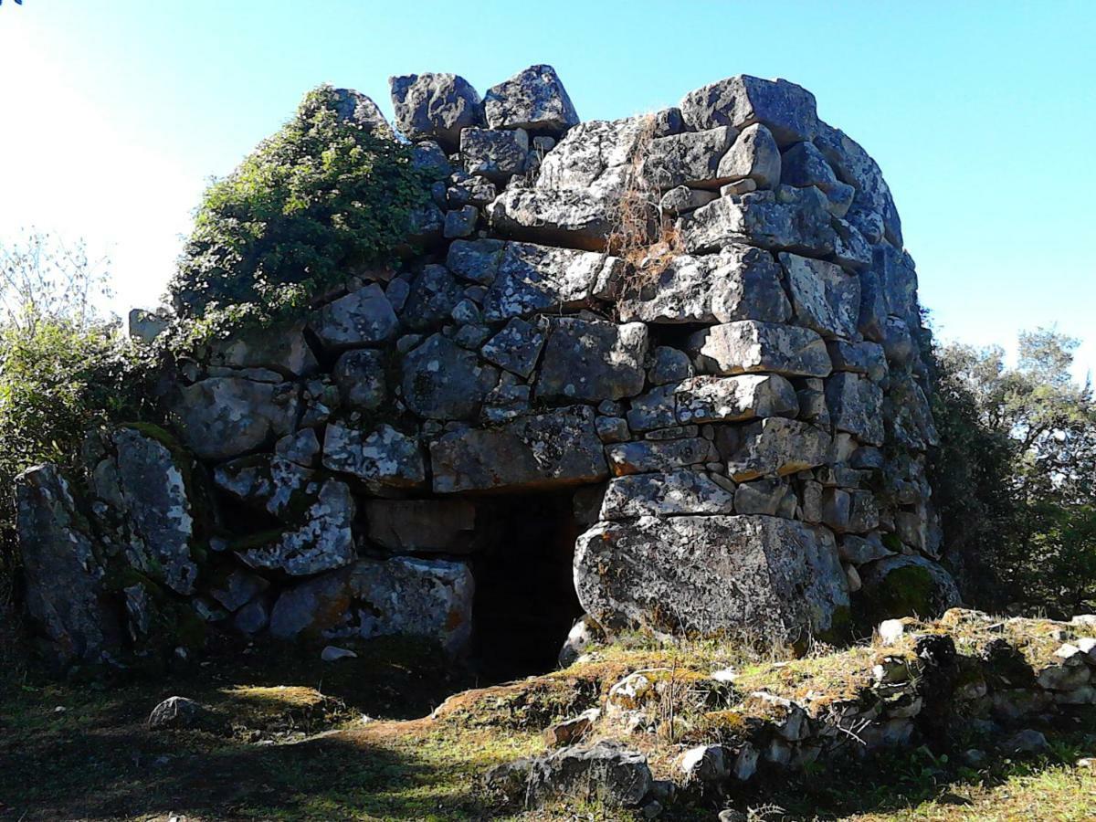 B&B I Menhir Sorgono Zewnętrze zdjęcie