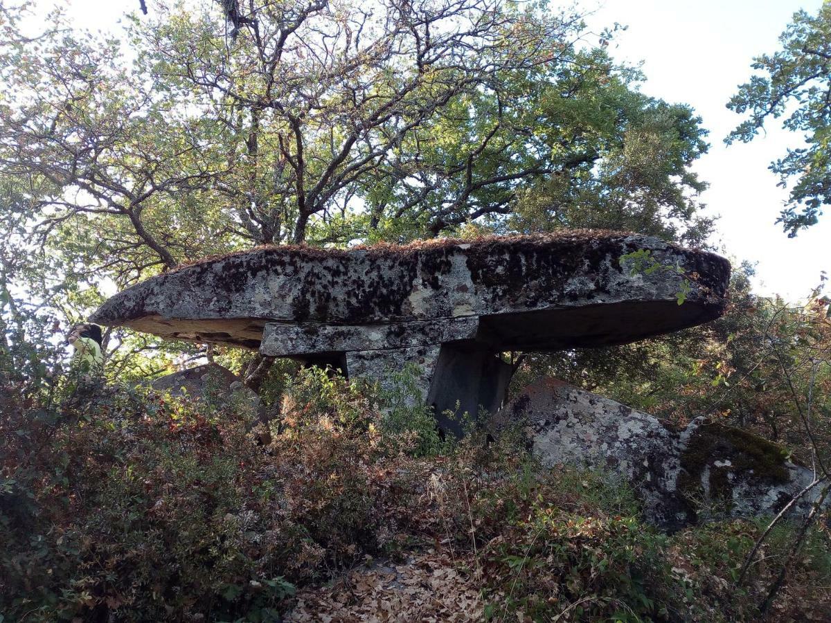 B&B I Menhir Sorgono Zewnętrze zdjęcie
